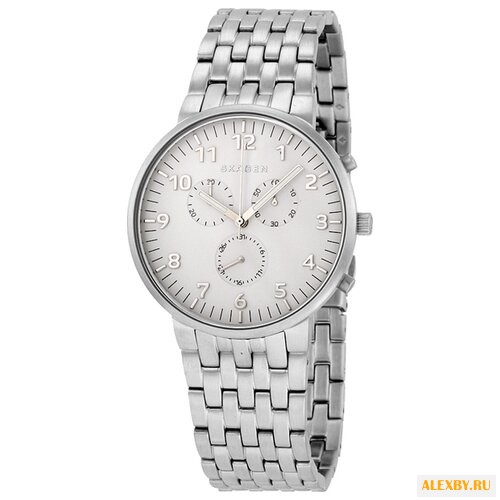 Наручные часы SKAGEN SKW6231