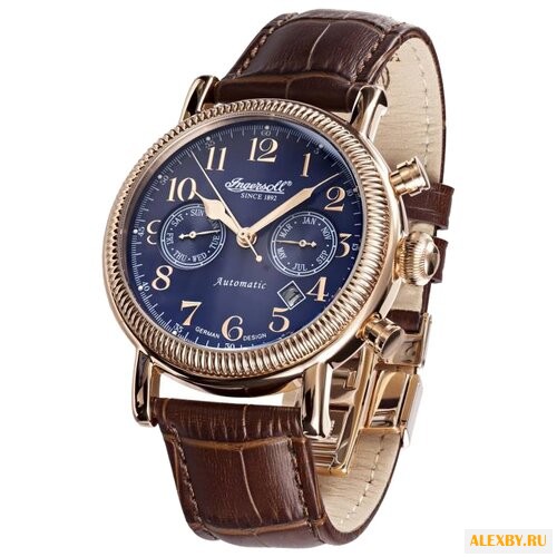 Наручные часы Ingersoll IN1828RBL