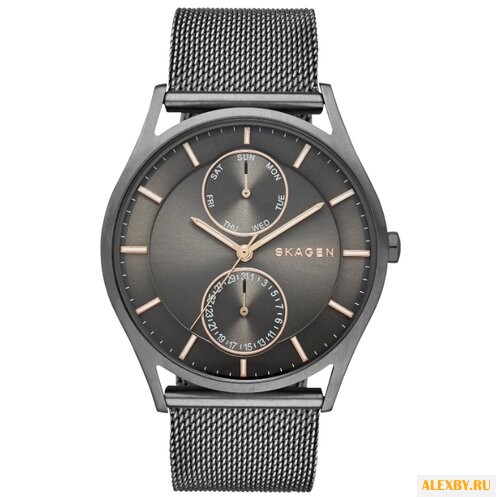 Наручные часы SKAGEN SKW6180