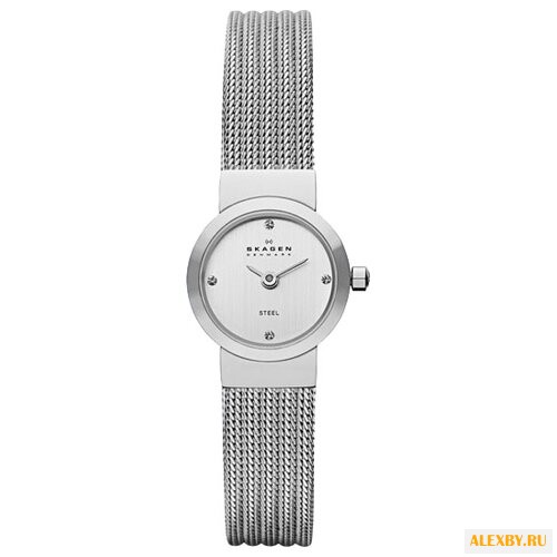 Наручные часы SKAGEN SKW2010