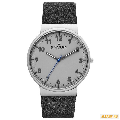 Наручные часы SKAGEN SKW6097