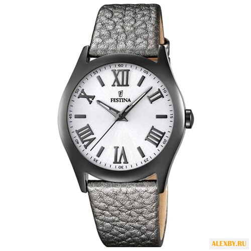 Наручные часы FESTINA F16649 8