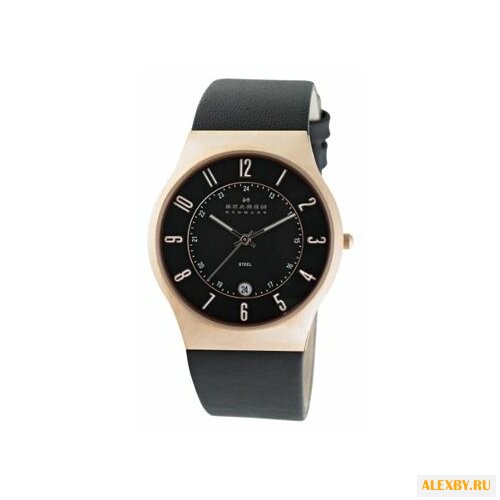 Наручные часы SKAGEN 233XXLRLB