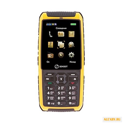 Телефон SENSEIT P101