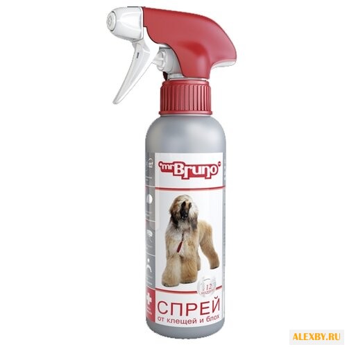Купить Mr.Bruno Спрей