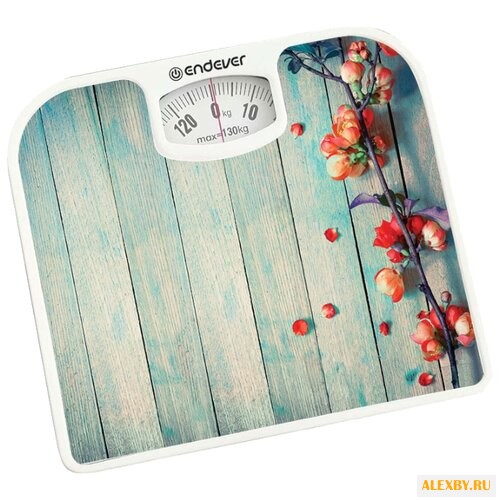 Весы ENDEVER Aurora-533