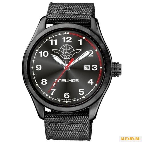 Наручные часы СПЕЦНАЗ С2864351