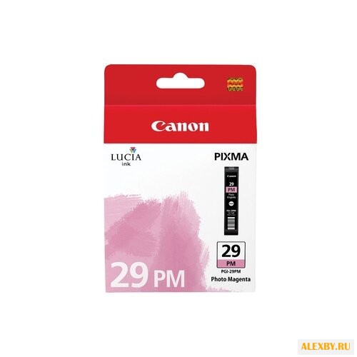 Картридж Canon PGI-29PM 4877B001