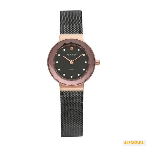 Наручные часы SKAGEN 456SRM