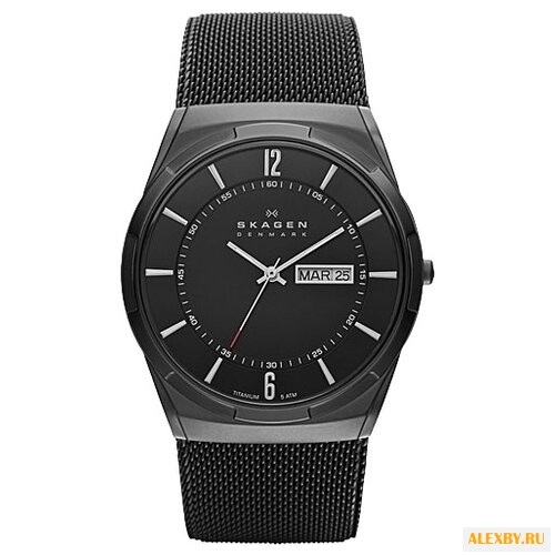 Наручные часы SKAGEN SKW6006