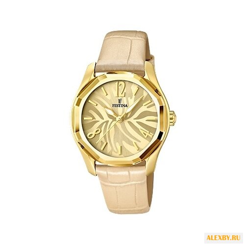 Наручные часы FESTINA F16738 2