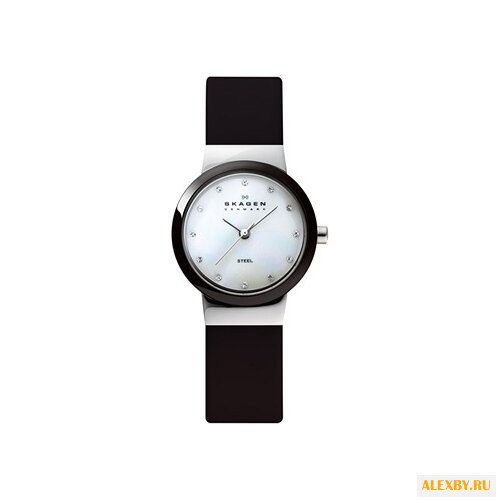 Наручные часы SKAGEN 458SSLB