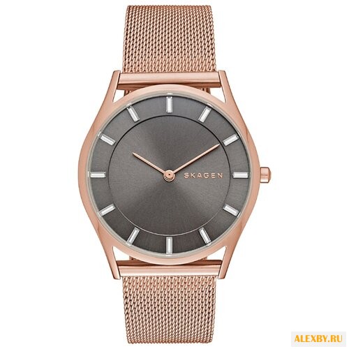 Наручные часы SKAGEN SKW2378
