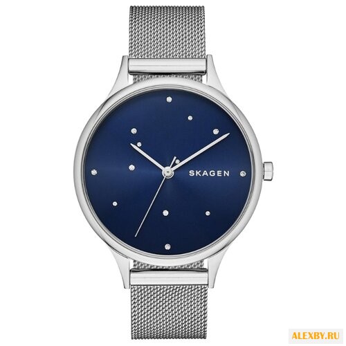 Наручные часы SKAGEN SKW2391