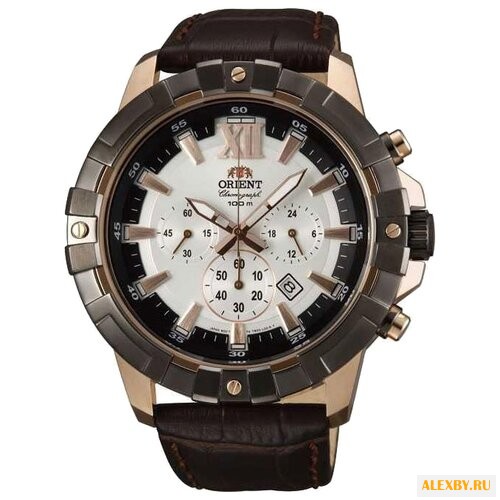 Наручные часы ORIENT TW03003W