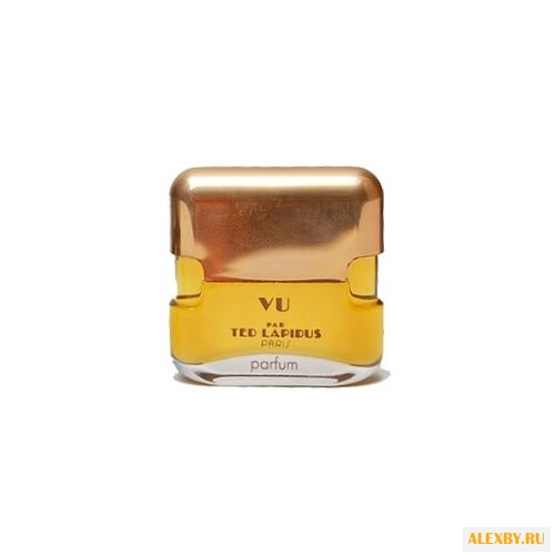 Ted Lapidus Vu par Ted Lapidus