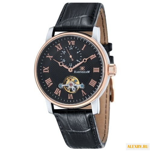 Наручные часы EARNSHAW ES-8042-04