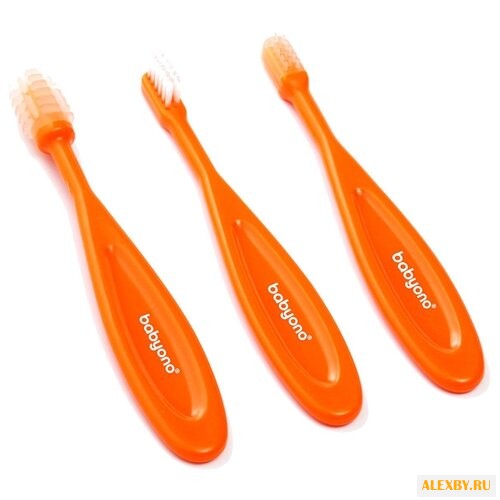 Набор щеток BabyOno 566 с 3