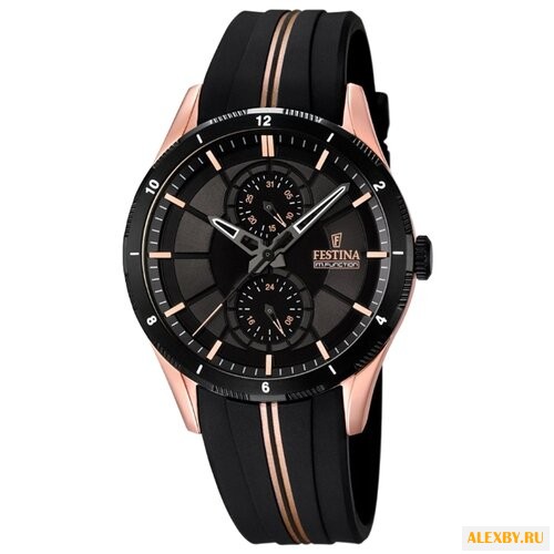 Наручные часы FESTINA F16842 1