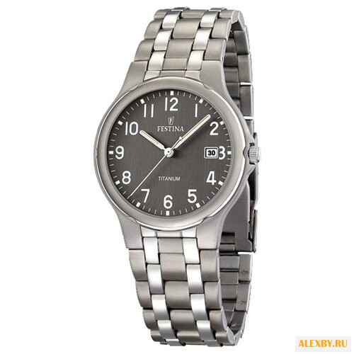 Наручные часы FESTINA F16460 2