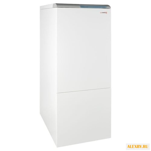 Газовый котел Protherm Медведь