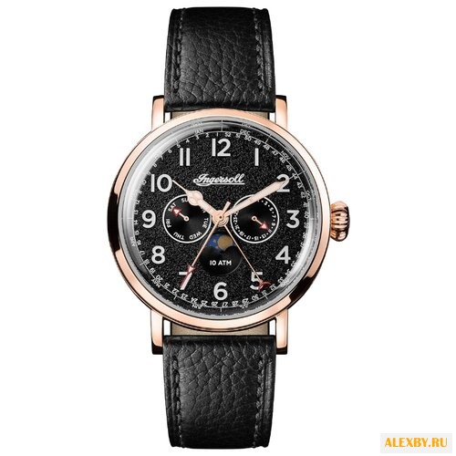 Наручные часы Ingersoll I01602