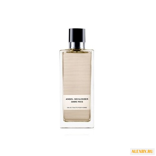 Angel Schlesser Ambre Frais Homme