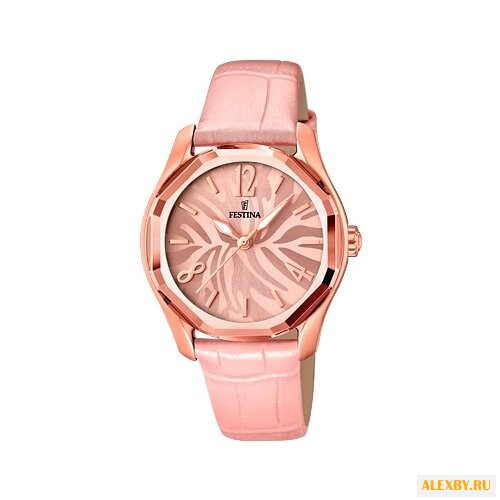 Наручные часы FESTINA F16739 2