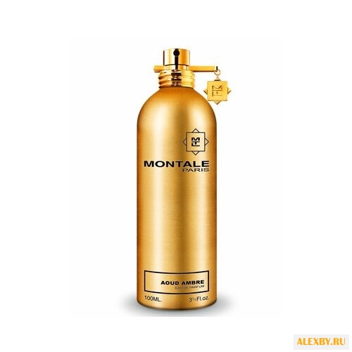 MONTALE Aoud Ambre