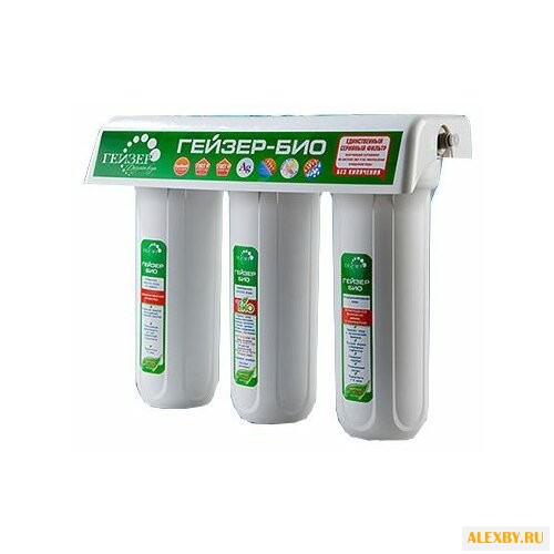 Фильтр Гейзер Био 341