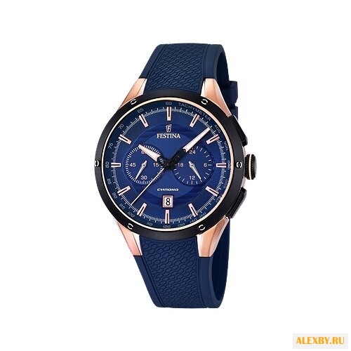 Наручные часы FESTINA F16831 1