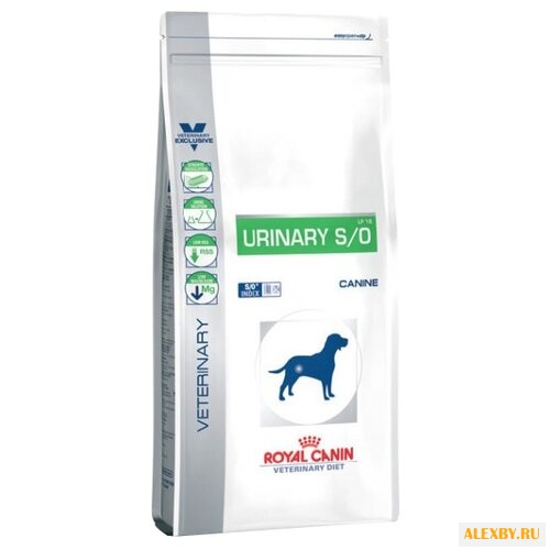 Корм для собак Royal Canin