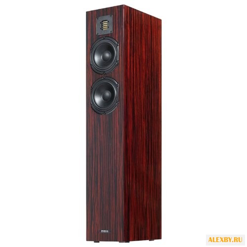 Акустическая система Piega