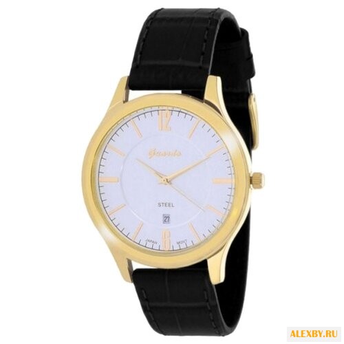 Наручные часы Guardo S0989.6