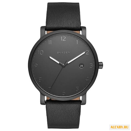 Наручные часы SKAGEN SKW6308