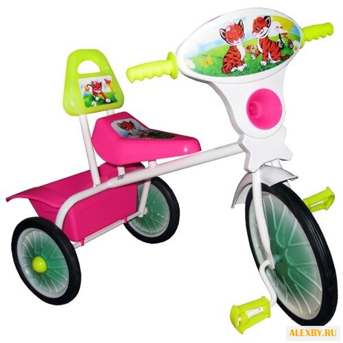 Трехколесный велосипед Малыш 06