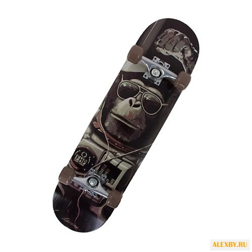 Скейтборд Larsen Park 2