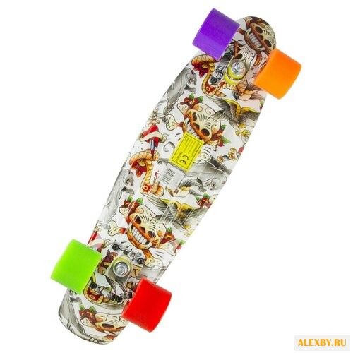 Лонгборд ATEMI APB-17.19