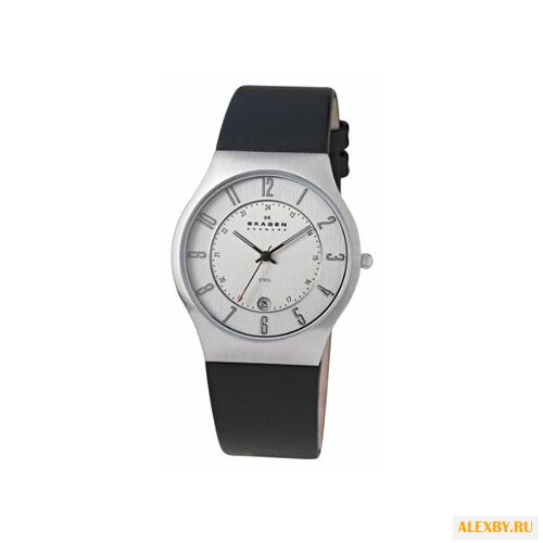 Наручные часы SKAGEN 233XXLSLC