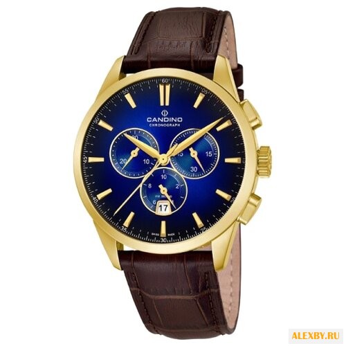 Наручные часы CANDINO C4518_7
