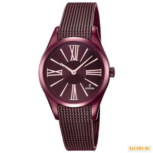 Наручные часы FESTINA F16964 1