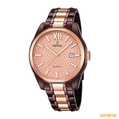 Наручные часы FESTINA F16855 1