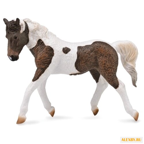 Collecta Жеребец 88780b