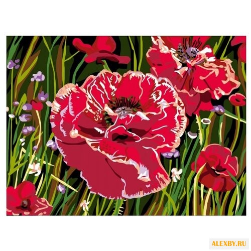 Color Kit Картина по номерам