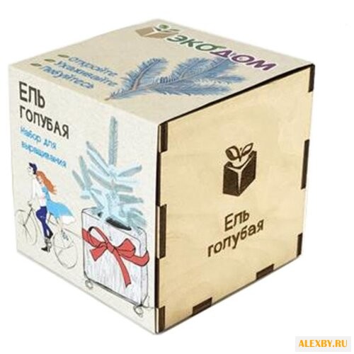 Набор Эко Клуб Ель голубая