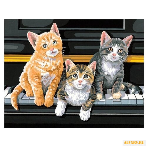 Dimensions Картина по номерам