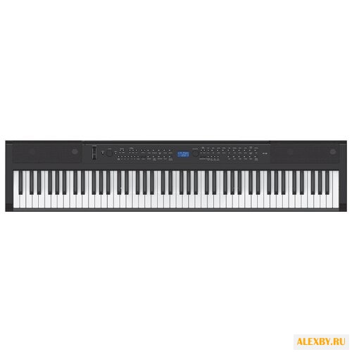 Цифровое пианино Artesia PE-88