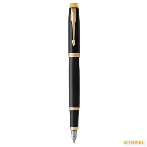 PARKER Перьевая ручка IM Fine