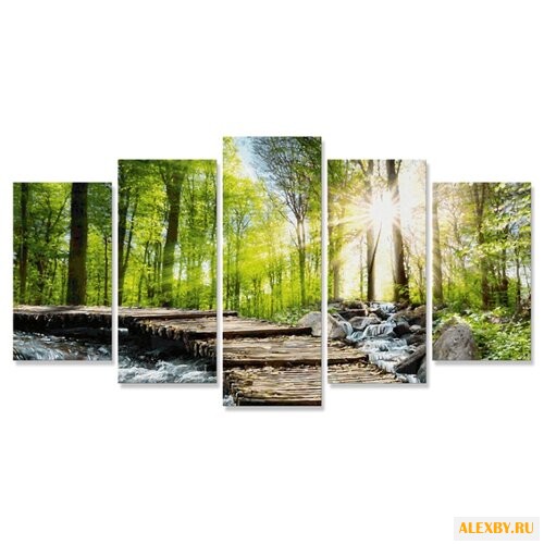 Schipper Картина по номерам