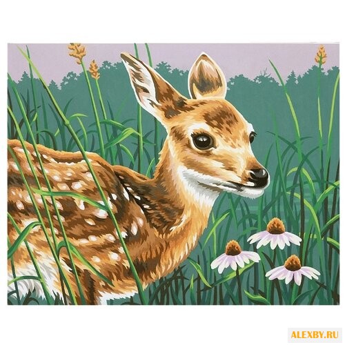 Dimensions Картина по номерам